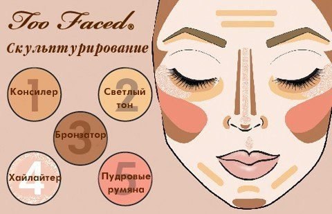 Шпаргалка по скульптурированию 