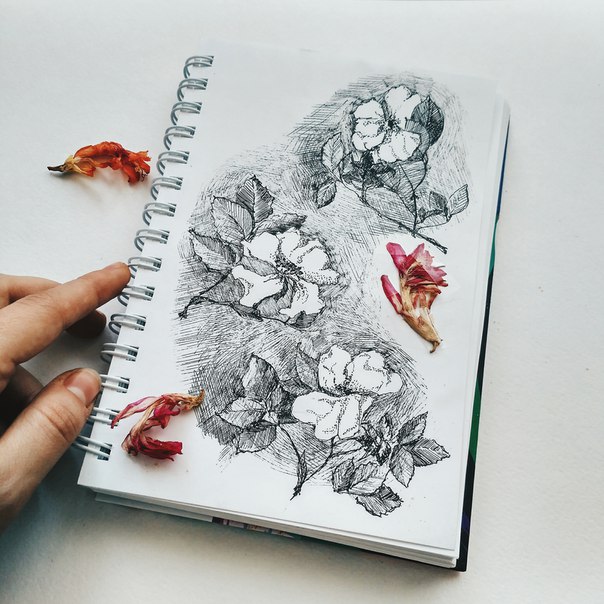 #Ольга_Монферан #ручка