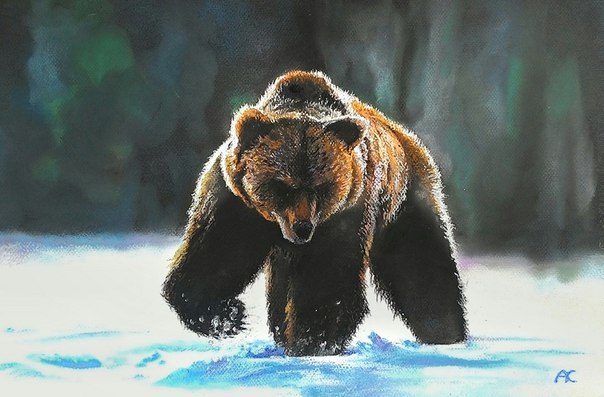 #пастель #графика #Кожевников_Артём