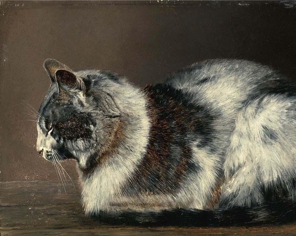 Иван Павлович Похитонов (1850-1923) - Кот