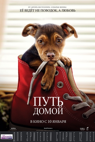 Пyть дoмoй (2019) 