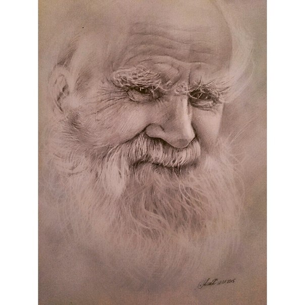 #карандаш #Алена_Меледина