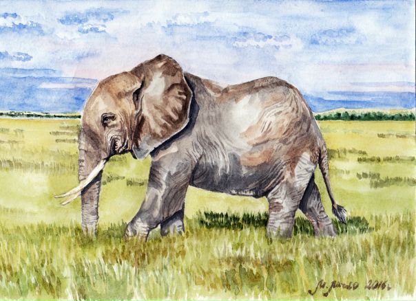 Приглашаю в свою  - эпицентр моего творчества - я рисую в различных техниках, от карандаша до акрила, а также фотографирую. Всем вступившим очень рада!