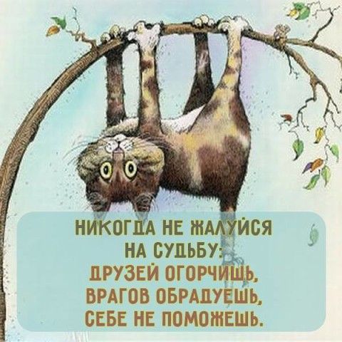 #inspiration@unrealpicture