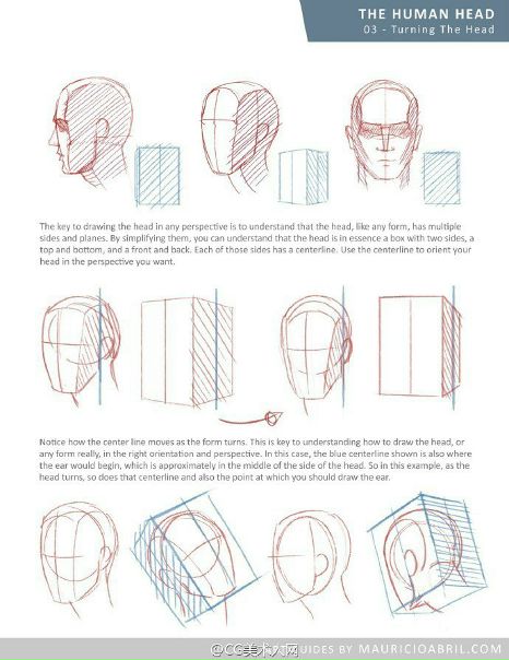 Построение головы.