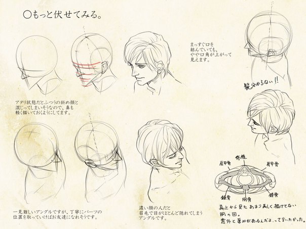 Рисуем голову человека в разных ракурсах.