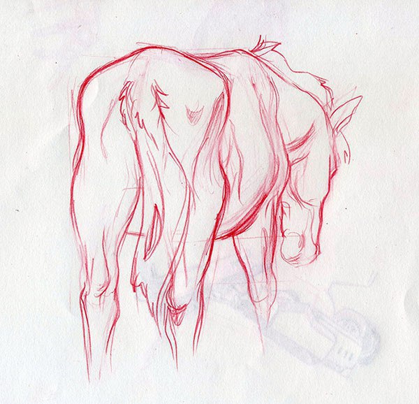 Рисуем лошадь. Наброски.