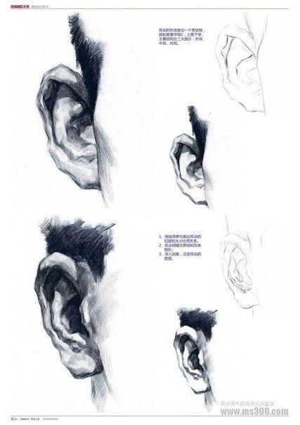 Рисуем уши. 