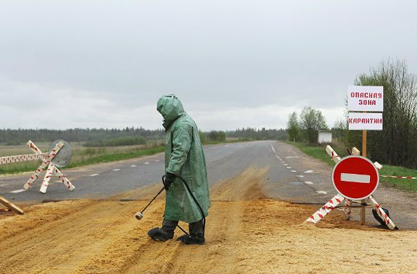 В 2017 году России угрожают чума, холера и сибирская язва