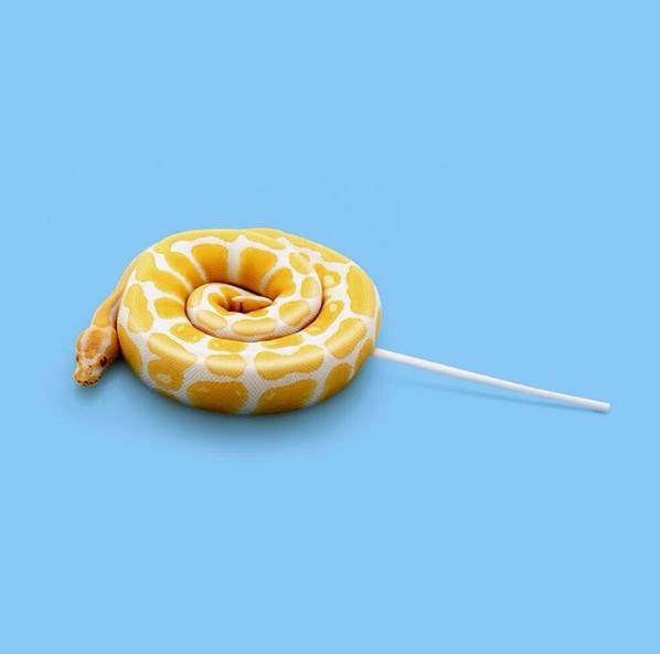 5 остроумных иллюстраций с двойным смыслом