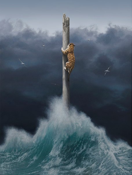 Joel Rea