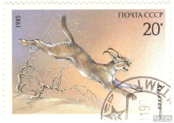 СССР: марки...