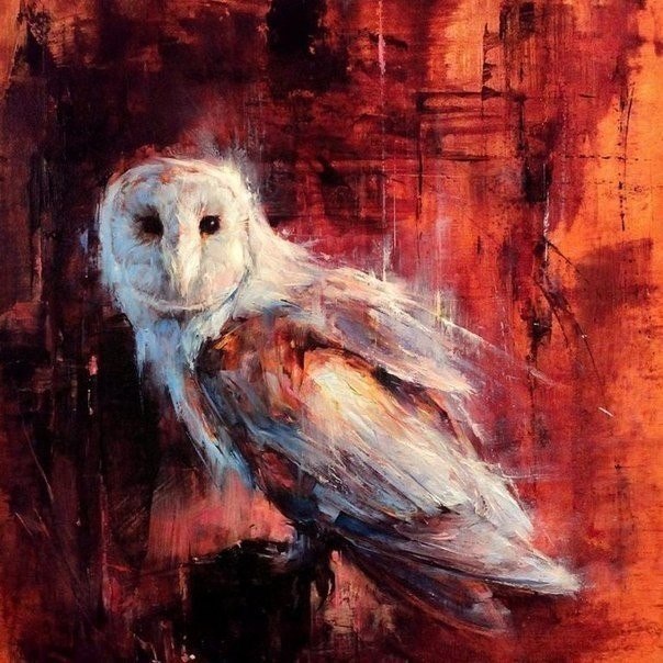 Художник анималист Lindsey Kustusch