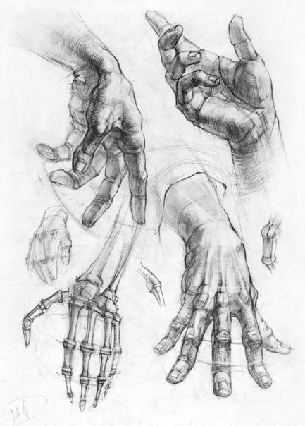 Рисуем руки. 