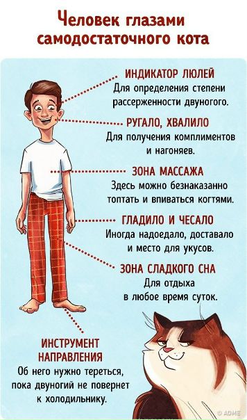 9 иллюстраций о том, как мы выглядим в глазах животных.