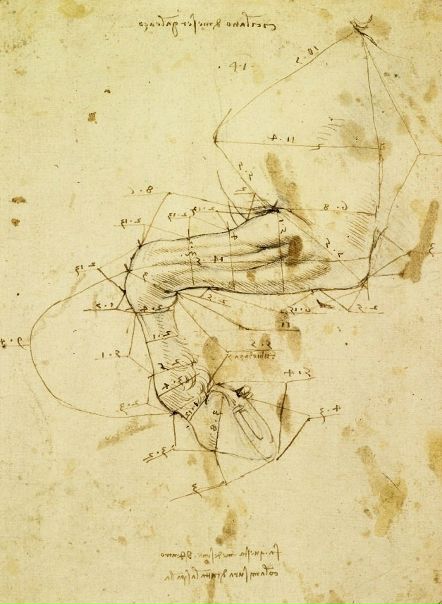 Леонардо да Винчи. Пропорции лошади.