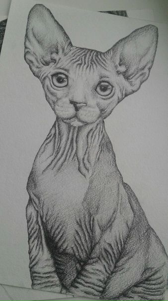 #7B #Инна_Герт