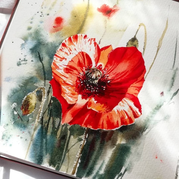 Юлия Степашкина 