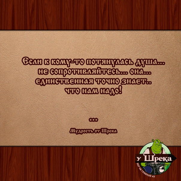 Мудрый Шрек. О душе...