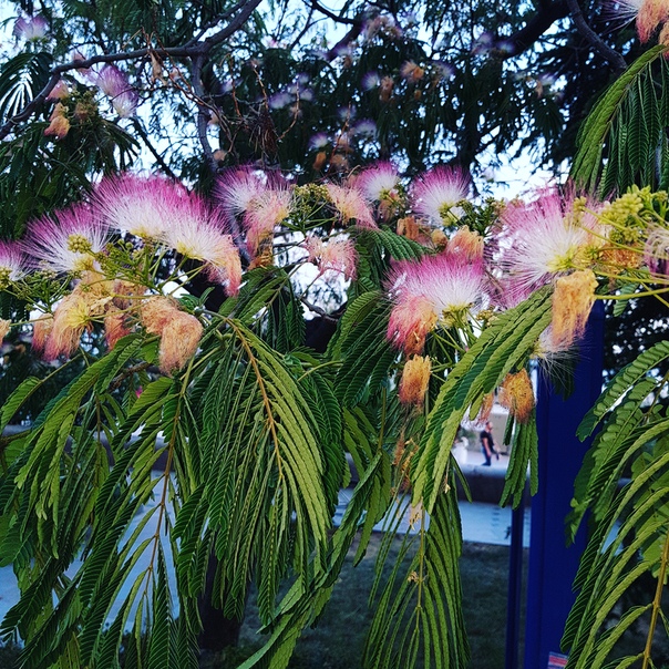 Красивый Крым